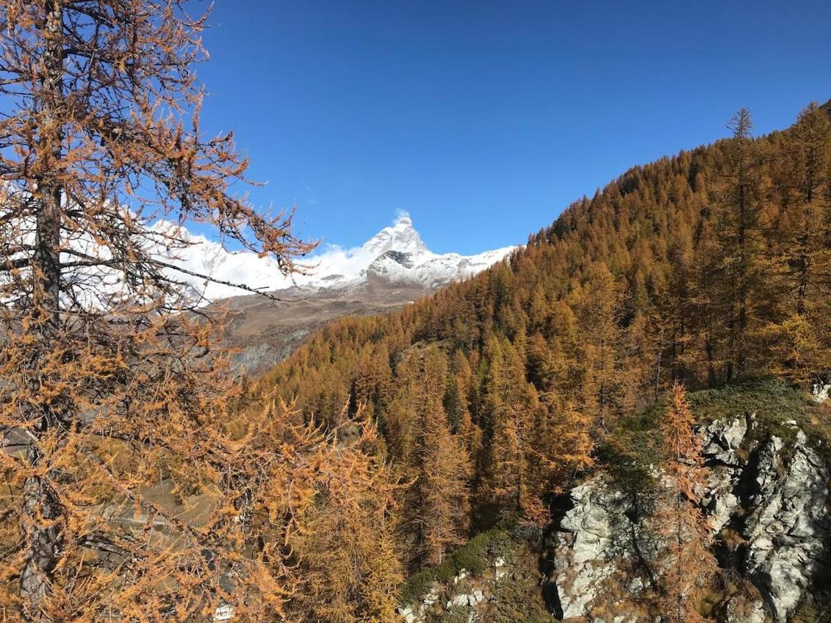 Appartamento Cervinia Fronte Funivie Брей-Червиния Экстерьер фото